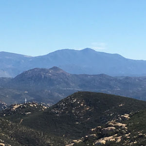 Meet your Posher, Ann